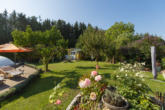 Blick in den Garten - ** Reserviert ** Heimkommen und wohlfühlen - schönes Einfamilienhaus mit großem Grundstück und Pool